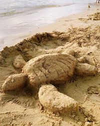 Scenic view of beach