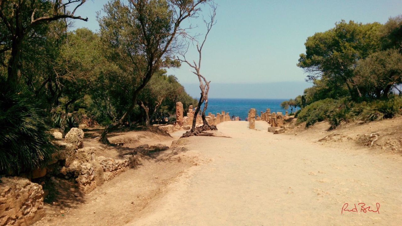 PANORAMIC VIEW OF BEACH AGAINST SKY