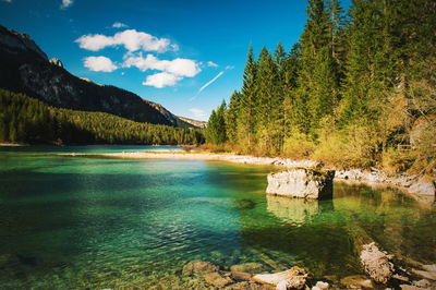 Scenic view of lake by trees against sky