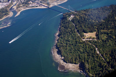 High angle view of trees by sea