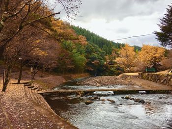 Scenic view of river in forest against sky