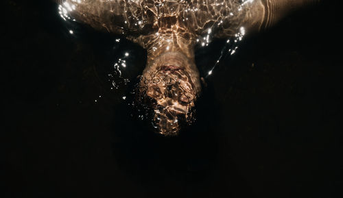 Close-up of man swimming in sea