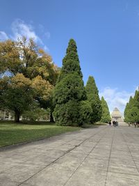 Footpath amidst trees in park against sky