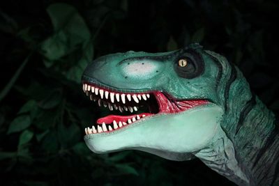 Close-up of a dinosaur 