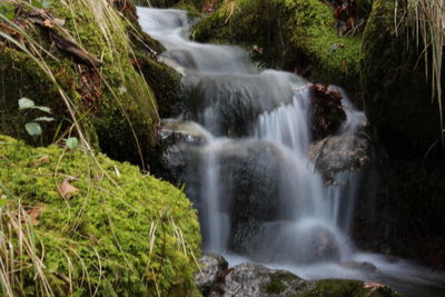 Scenic view of waterfall in forest