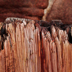 Close-up of rock