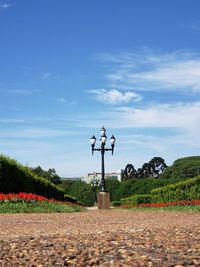 Streetlight at a park