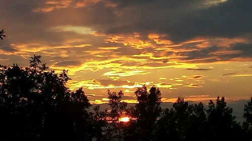 Silhouette trees against sky during sunset