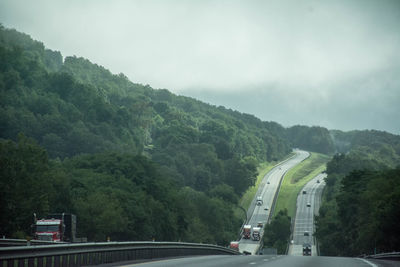 Vehicles on road amidst trees against sky