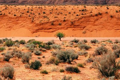 View of a desert