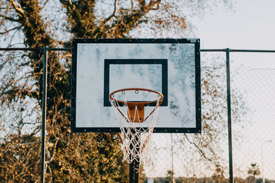 Basketball field