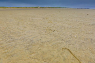 Scenic view of beach against clear sky