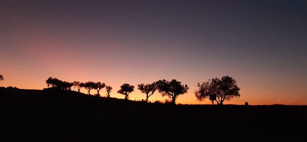 Silhouette trees on field against sky at sunset