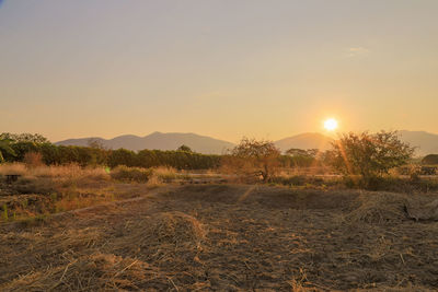 Scenic view of field against sky during sunset