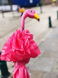 Close-up of pink toy