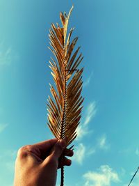 Close-up of hand holding leaves against sky