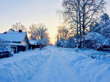 Snow covered houses and trees against sky during winter