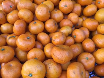 Full frame shot of oranges