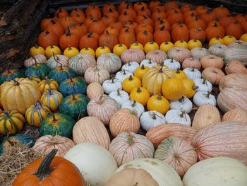 Full frame shot of pumpkins at market stall