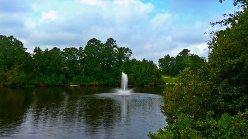 Fountain with trees in background