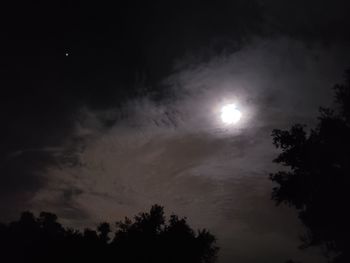 Low angle view of silhouette trees against sky at night