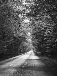 Empty road amidst trees in forest