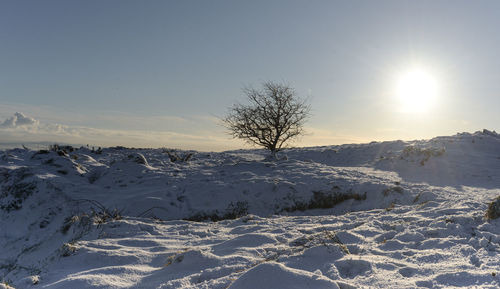 Scenic view of snow covered landscape against bright sun