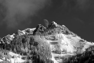 Panoramic view of trees on mountain against sky
