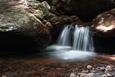 View of waterfall in forest