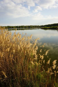 Scenic view of lake against sky