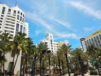 Low angle view of palm trees and buildings