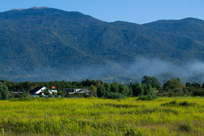 Scenic view of field and mountains against sky