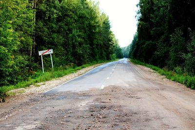 Empty road along trees and plants