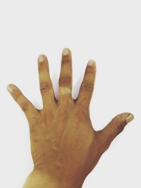 Close-up of human hand against white background