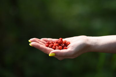 Cropped image of hand holding strawberry