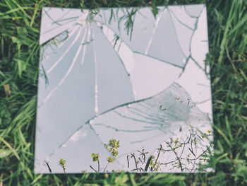 Close-up of broken mirror