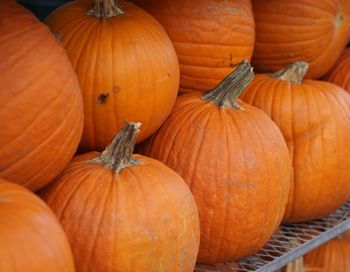 Pumpkins for sale at market stall