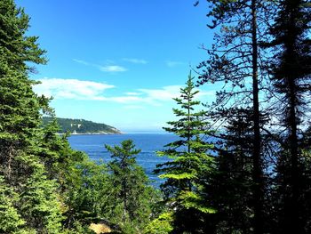 Scenic view of calm sea against sky