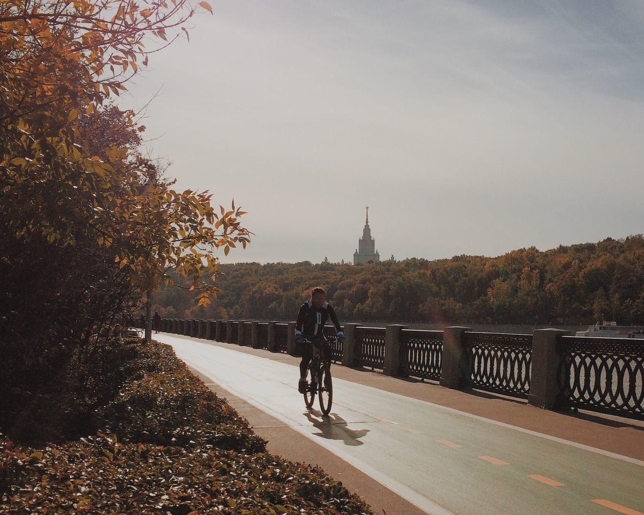 transportation, road, bicycle, full length, lifestyles, walking, men, street, land vehicle, architecture, leisure activity, the way forward, rear view, built structure, tree, sky, riding, mode of transport, building exterior