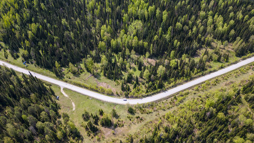 High angle view of agricultural field