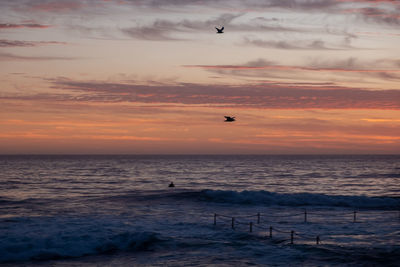 Seagull flying over sea against sky during sunset