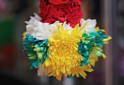 Close-up of multi colored flowers
