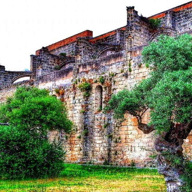 architecture, built structure, building exterior, stone wall, grass, history, old, wall - building feature, plant, brick wall, house, old ruin, the past, day, outdoors, building, sunlight, no people, tree, stone material