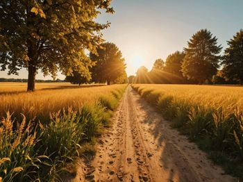 Scenic view of field against sky during sunset