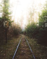 Railroad track amidst trees in forest