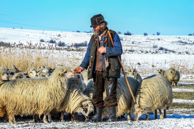 Full length of man with sheep standing on field against clear sky