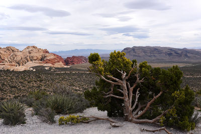 Rock formations in a desert