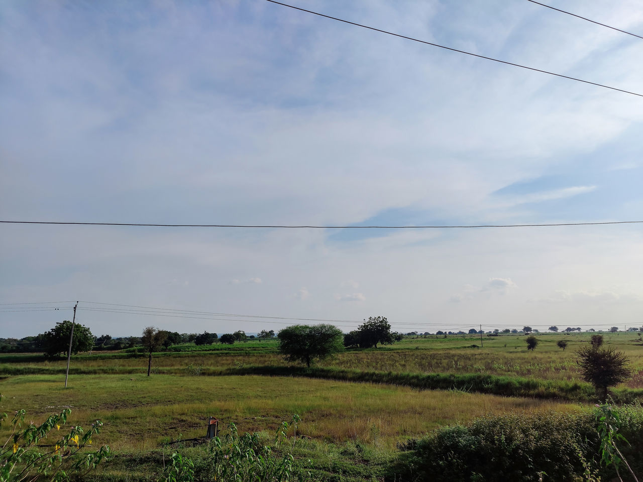 sky, cable, landscape, cloud, plant, electricity, environment, field, nature, rural area, land, power line, agriculture, horizon, rural scene, scenics - nature, no people, beauty in nature, plain, grass, electricity pylon, growth, power supply, tranquility, technology, hill, tree, tranquil scene, crop, prairie, day, outdoors, grassland, farm, non-urban scene, natural environment, pasture, green, soil