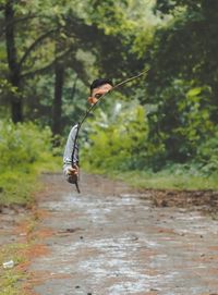 Bird flying over a land