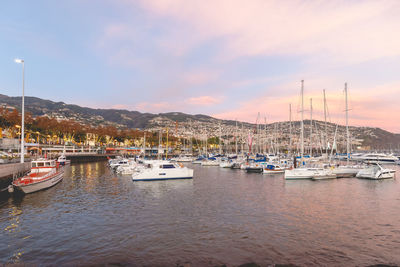 Boats moored at harbor